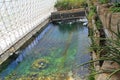 Pool Inside the Biosphere 2 in Tucson Arizona